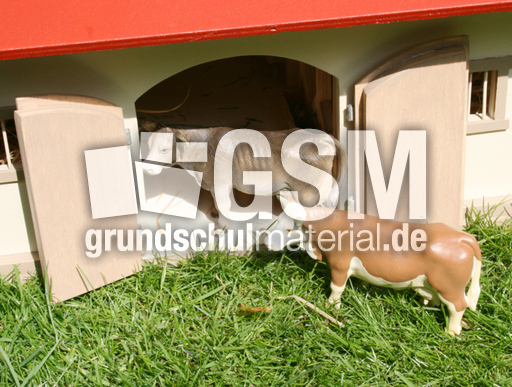 2-Kühe.jpg